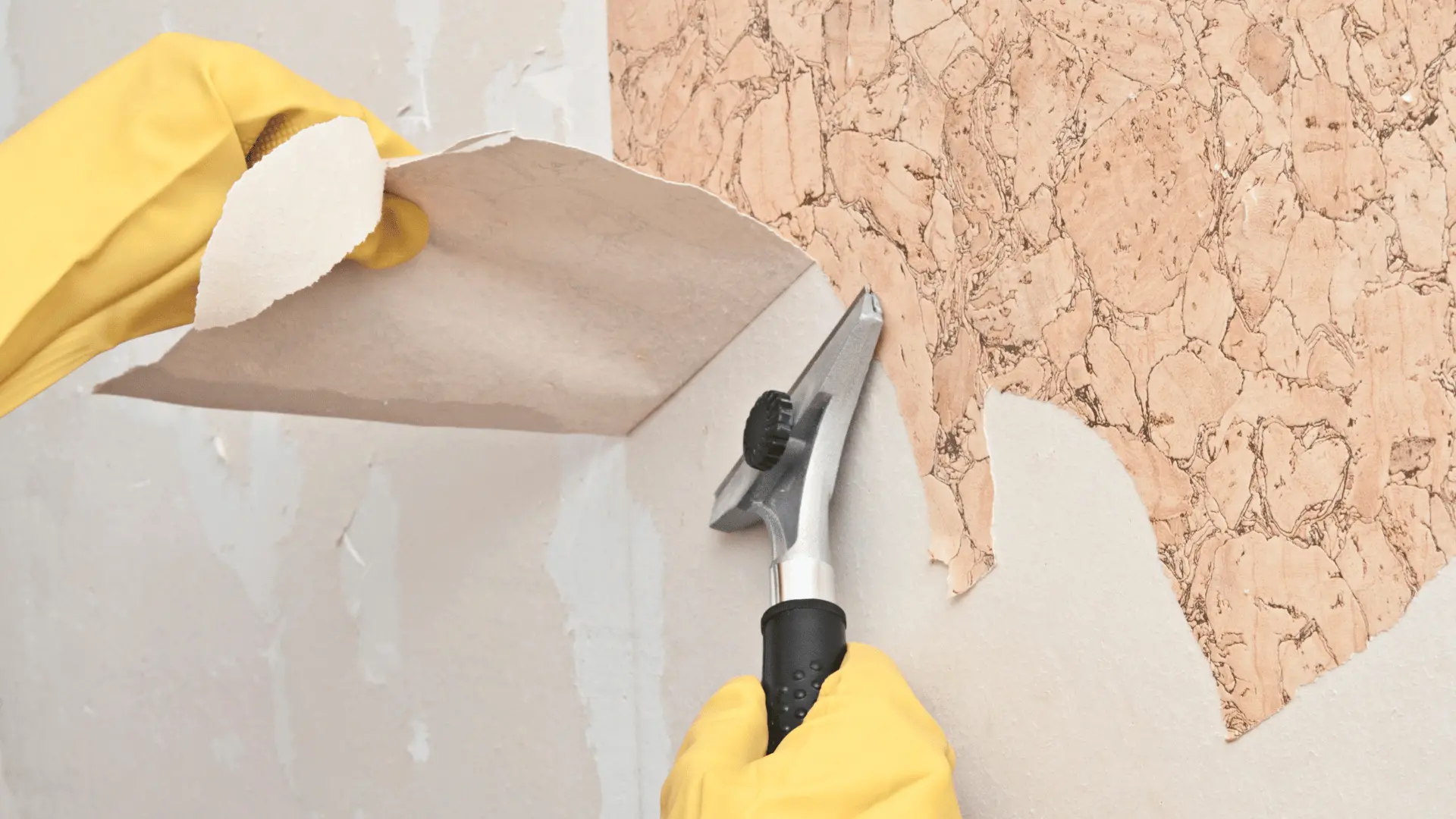 wallpaper for renters
