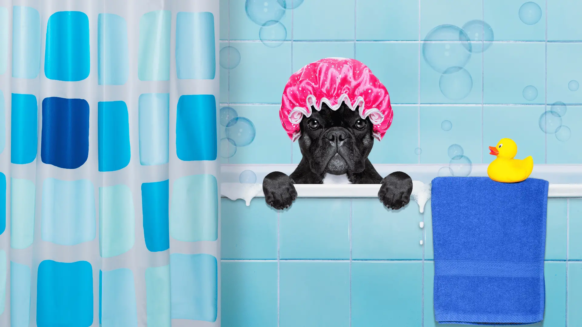 Shower Curtains
