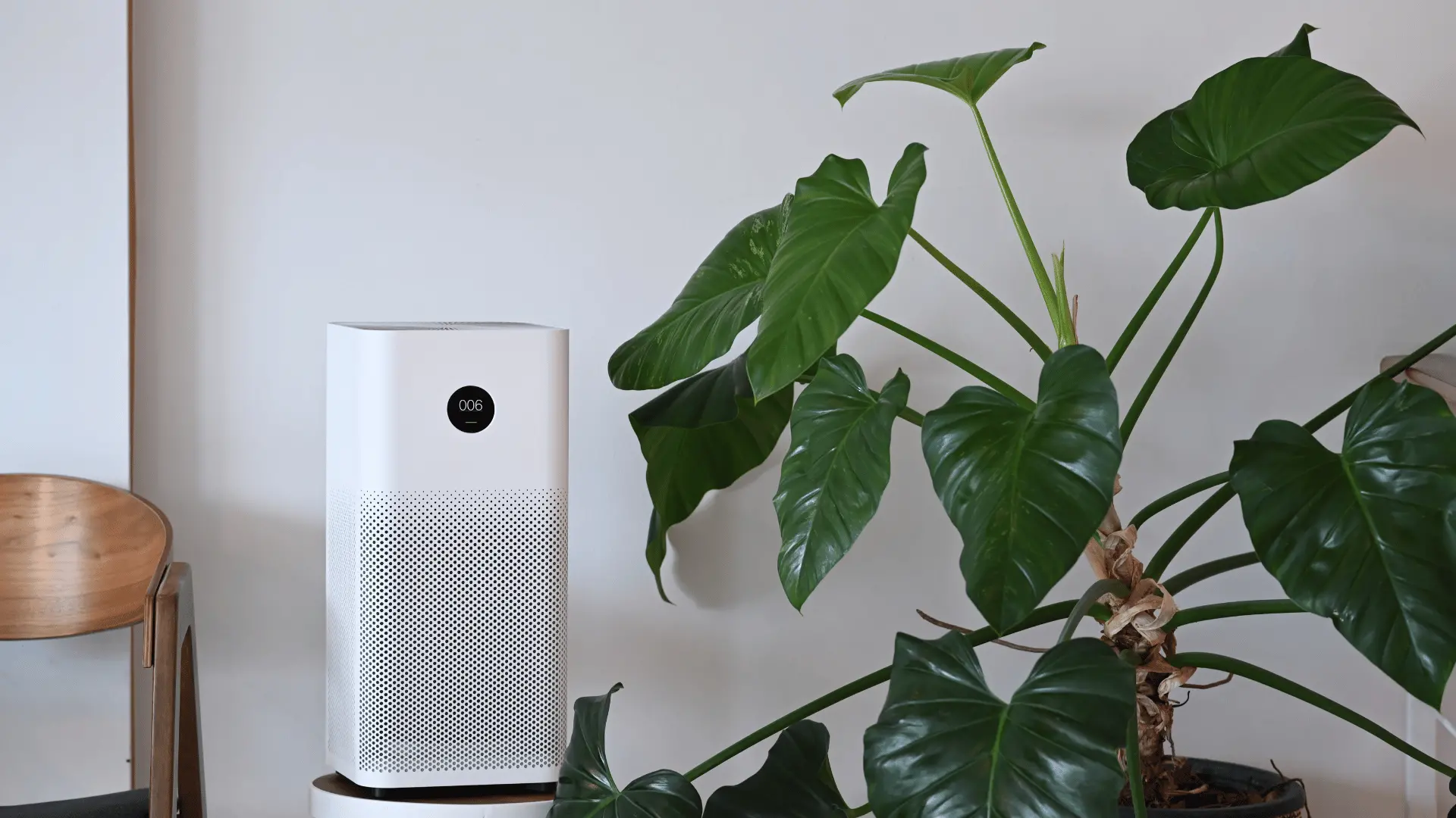air purifiers