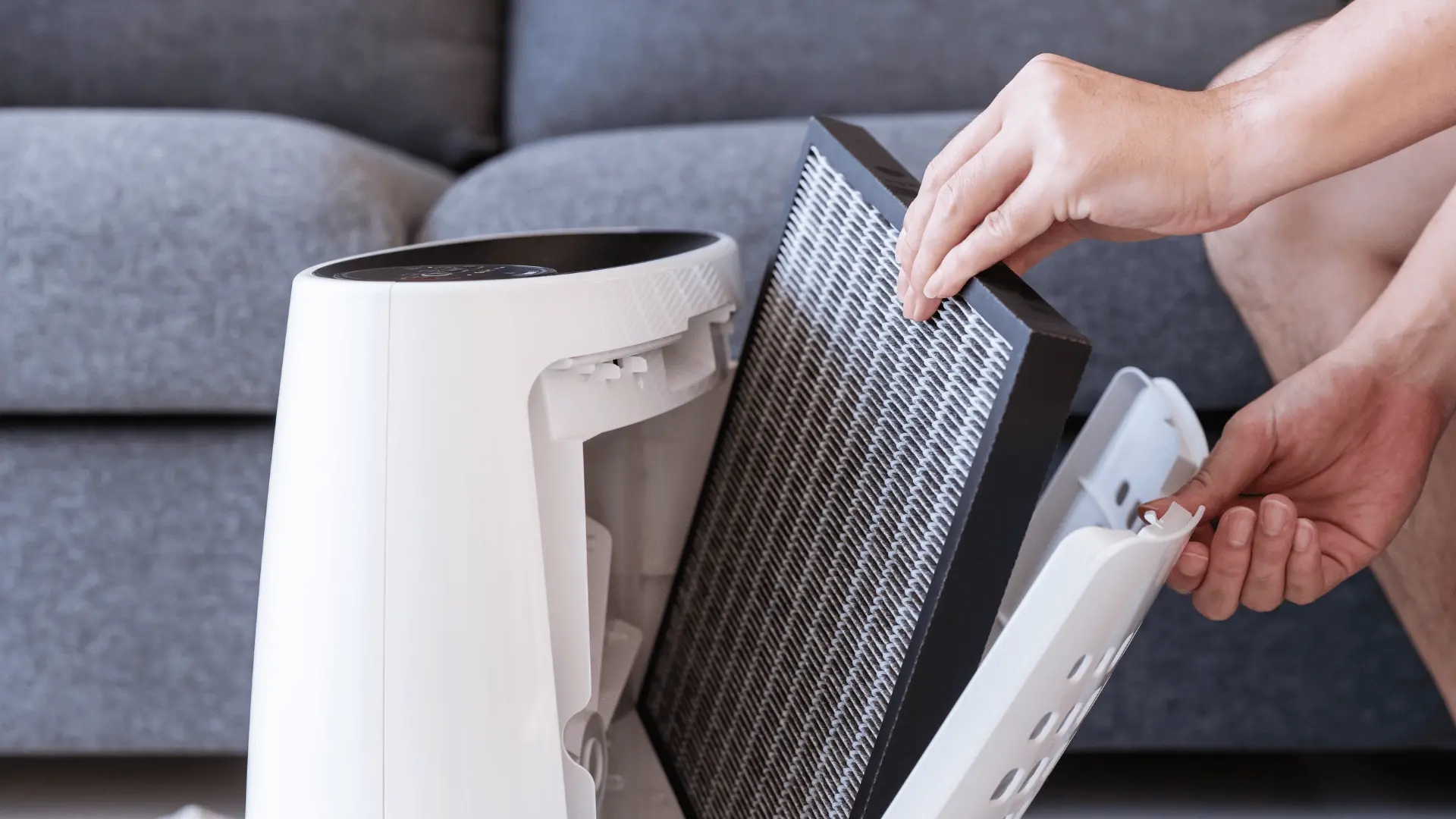 air purifiers