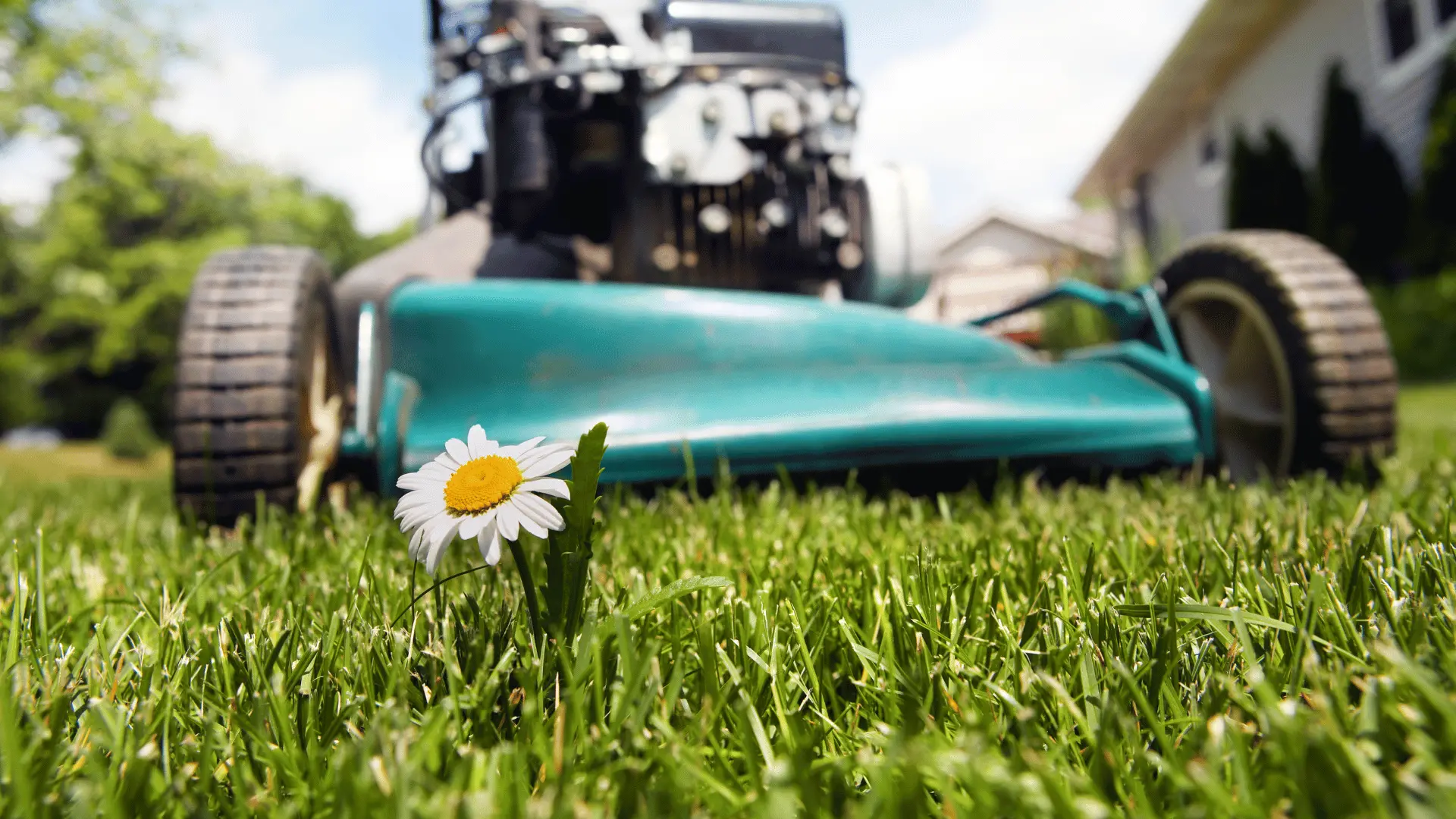 lawnmower