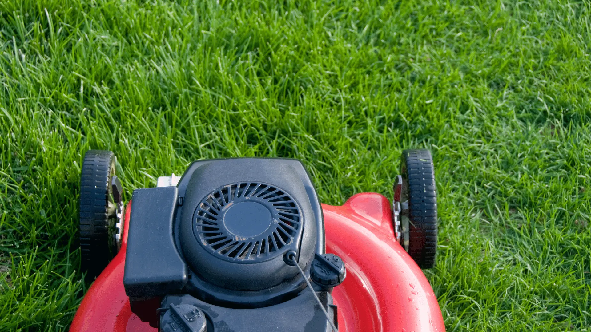 lawnmower