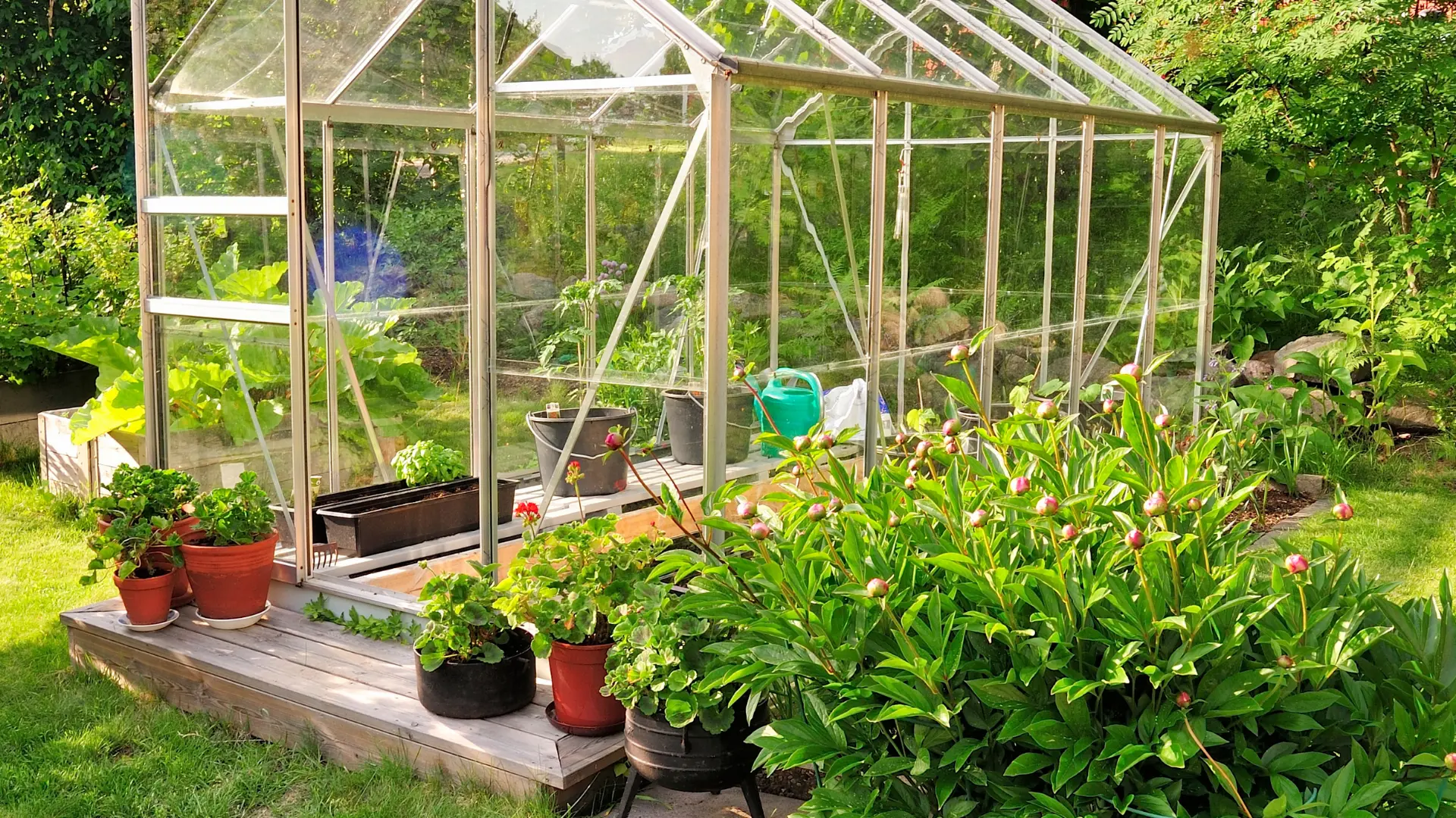 greenhouse
