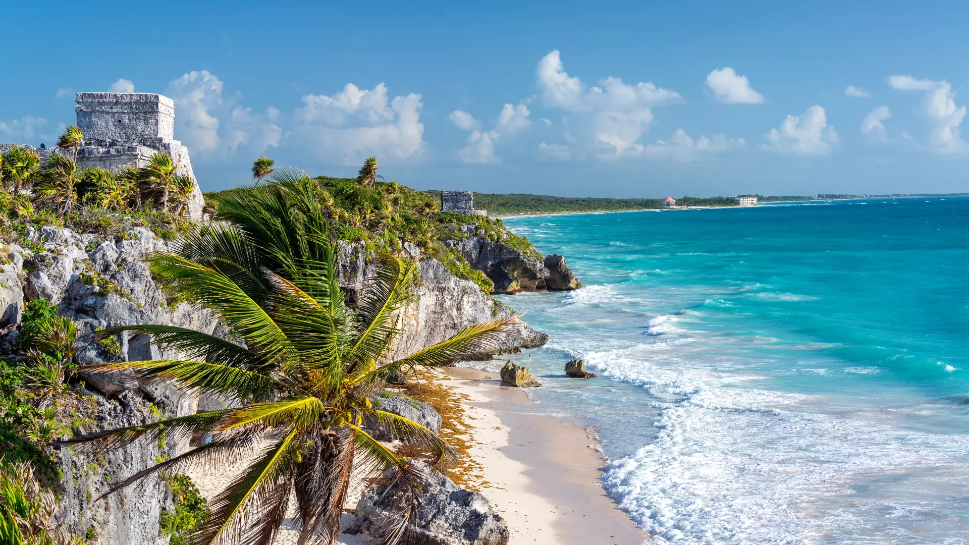 construction company tulum