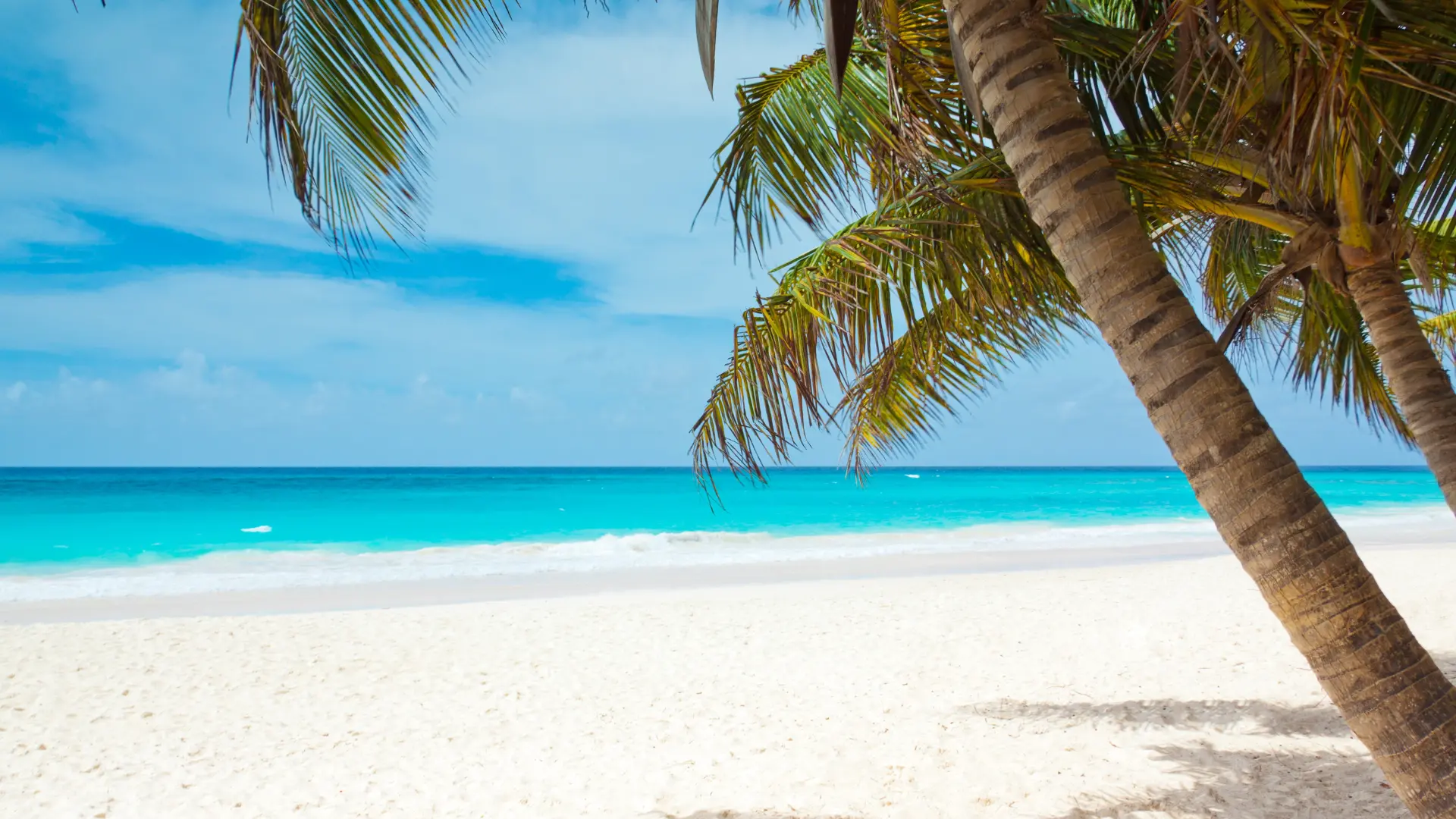 retiring in playa del carmen
