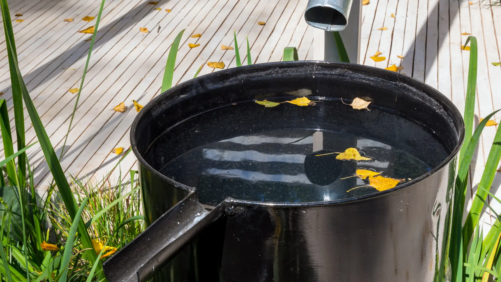 rain water collection