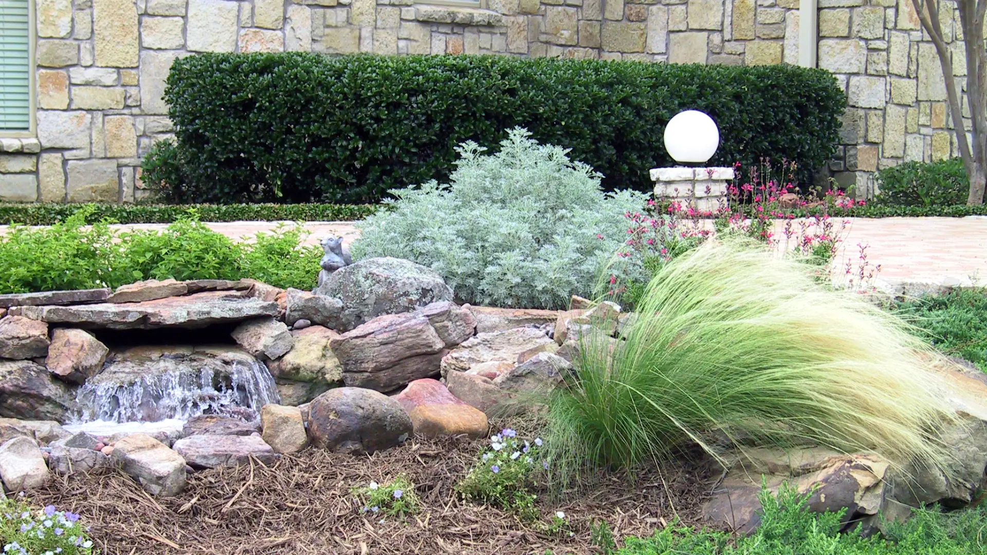 xeriscaping backyard