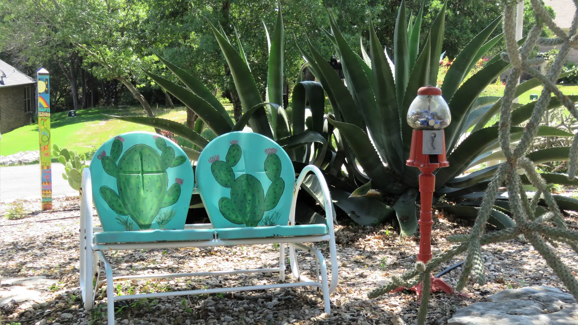 xeriscaping backyard