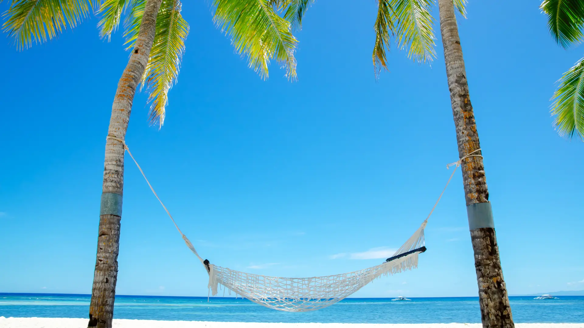 Hammocks in Playa del Carmen – A Relaxing Coastal Experience