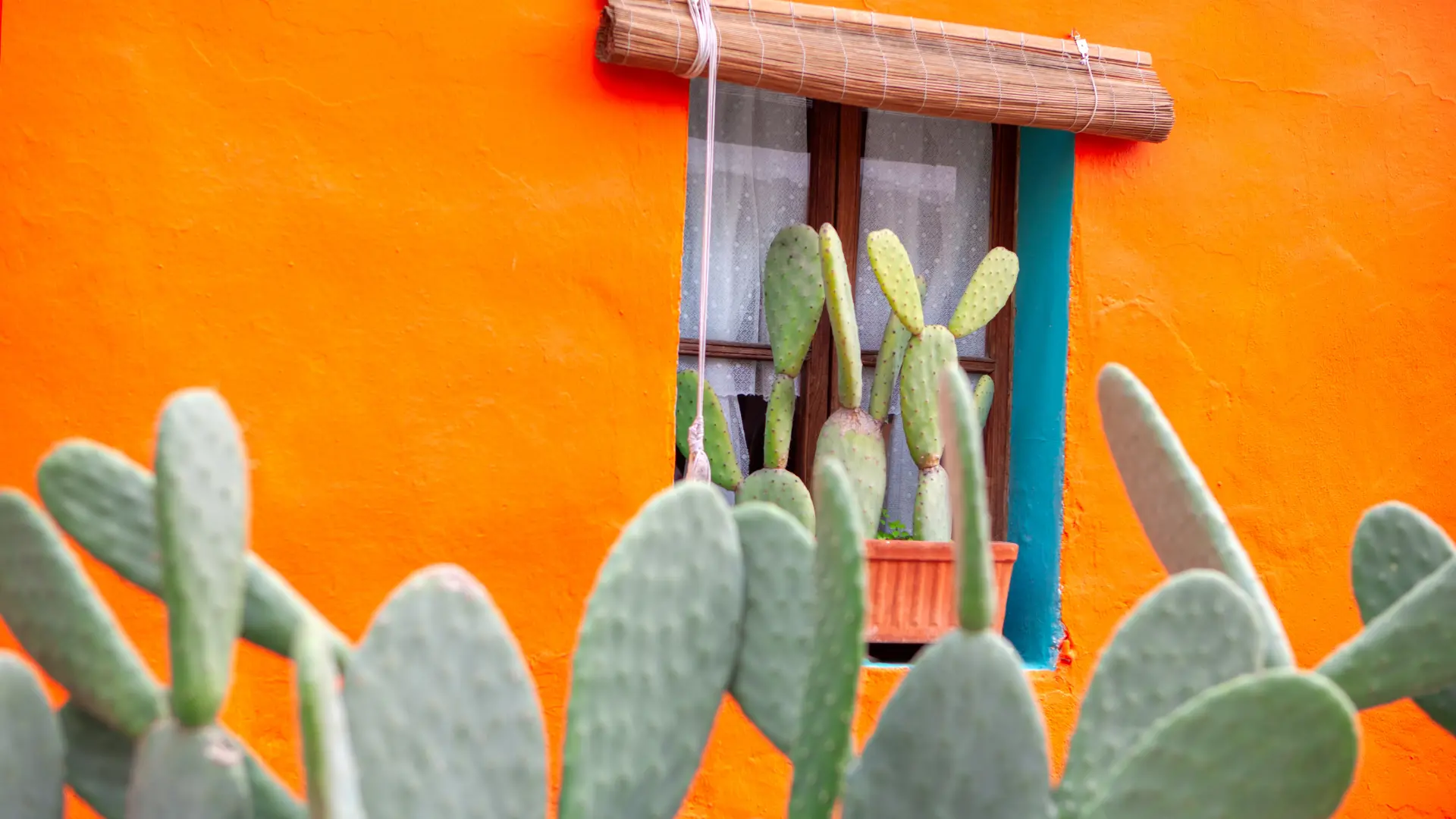mexico house design