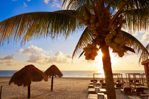 Building a House in Riviera Maya: 5 Things You Must Know