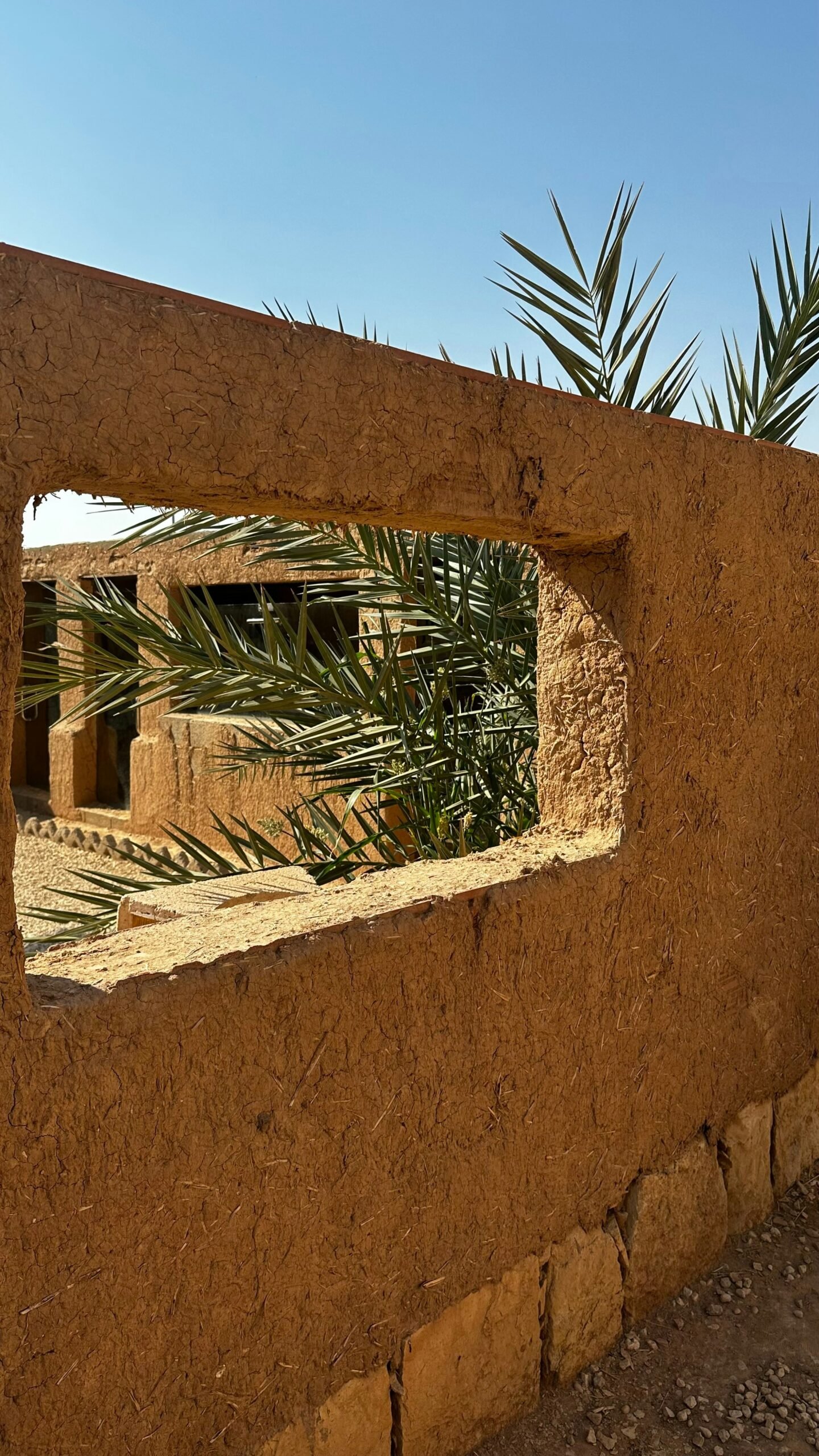 Hempcrete Construction in Mexico (Sustainable Building Material)