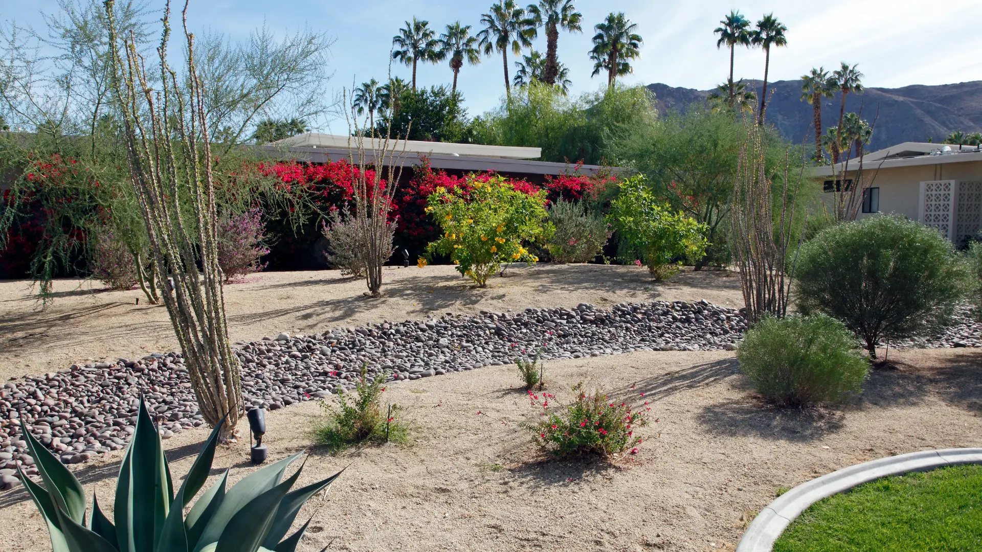 A dry-climate residential yard with gravel beds, cacti, ornamental grasses and a curved lawn edge.